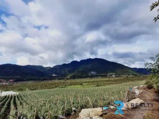 Vendo Finca Purulha, BVP  Carretera hacia Cobán  Sobre Carretera Principal — Finca en Venta en Purulhá, Baja Verapaz — miniatura 2 de 4
