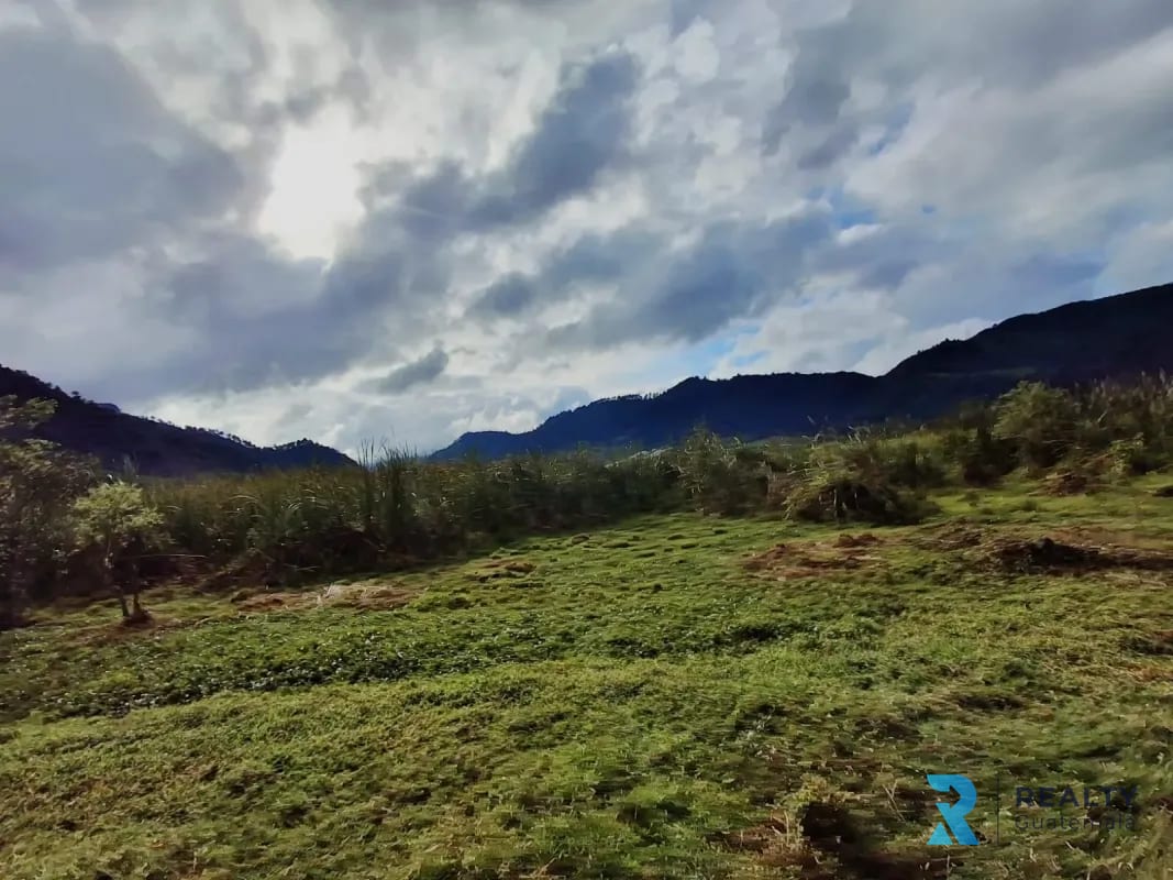 Vendo Finca Purulha, BVP Carretera hacia Cobán Sobre Carretera Principal — Finca en Venta en Purulhá, Baja Verapaz — foto 3 de 4