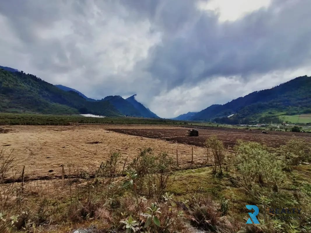 Vendo Finca Purulha, BVP  Carretera hacia Cobán  Sobre Carretera Principal — Finca en Venta en Purulhá, Baja Verapaz — foto 4 de 4