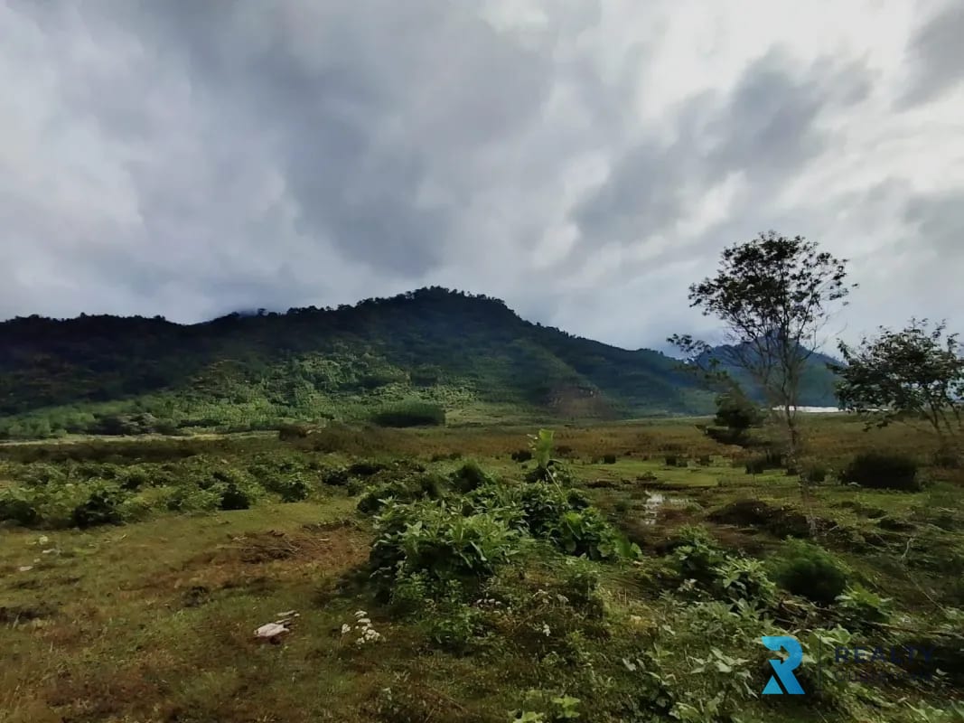 Vendo Finca Purulha, BVP Carretera hacia Cobán Sobre Carretera Principal — Finca en Venta en Purulhá, Baja Verapaz — foto 1 de 4