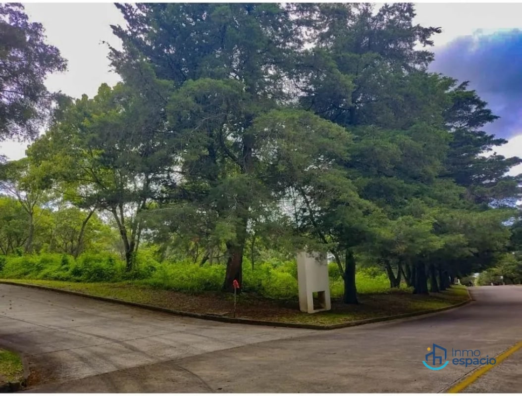 Terreno en Venta en Casa y Campo - 4