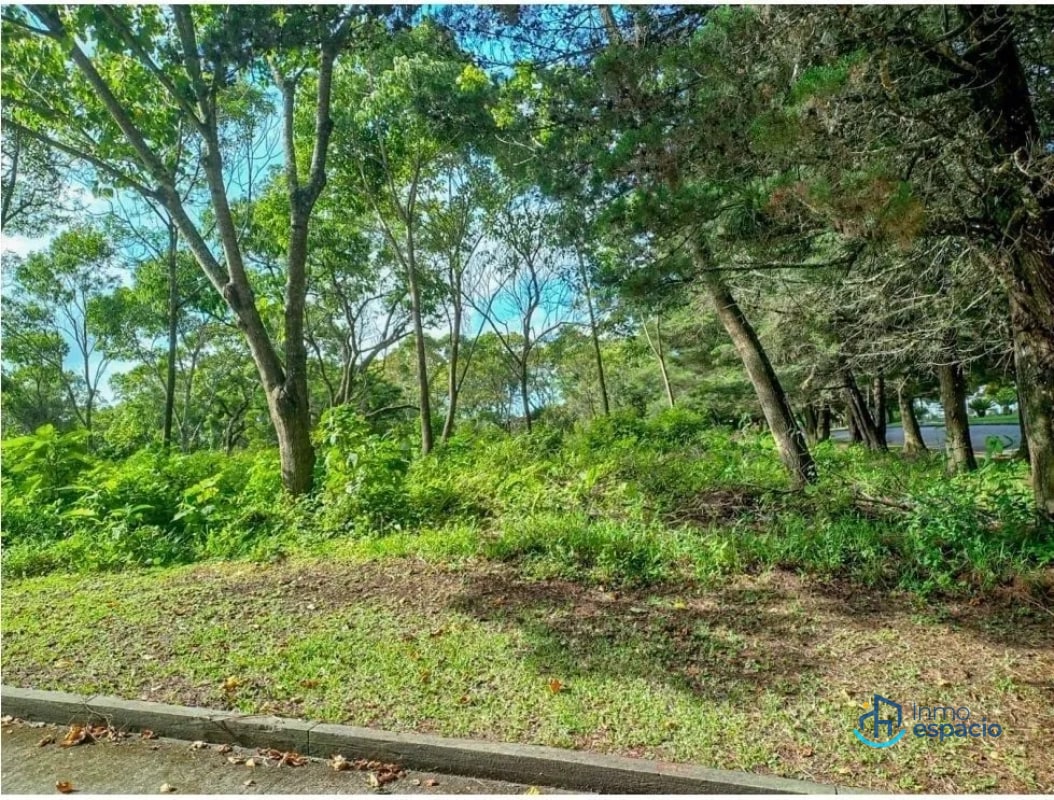 Terreno en Venta en Casa y Campo - 2