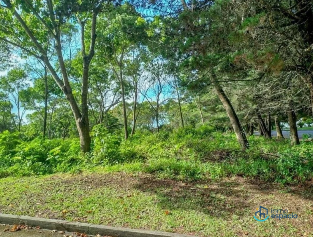 Terreno en Venta en Casa y Campo - 1
