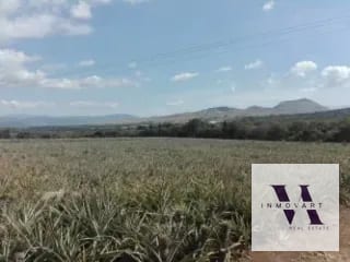 Terreno a la venta Jocotillo — Terreno en Venta en Villa Canales, Guatemala, Ciudad — miniatura 1 de 9