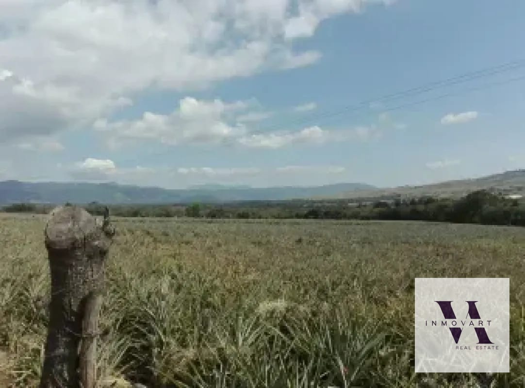 Terreno a la venta Jocotillo — Terreno en Venta en Villa Canales, Guatemala, Ciudad — foto 9 de 9