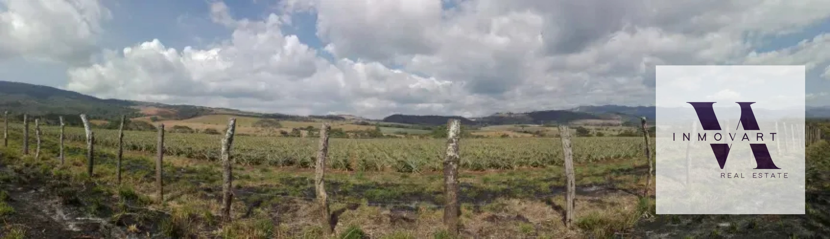 Terreno a la venta Jocotillo - 1