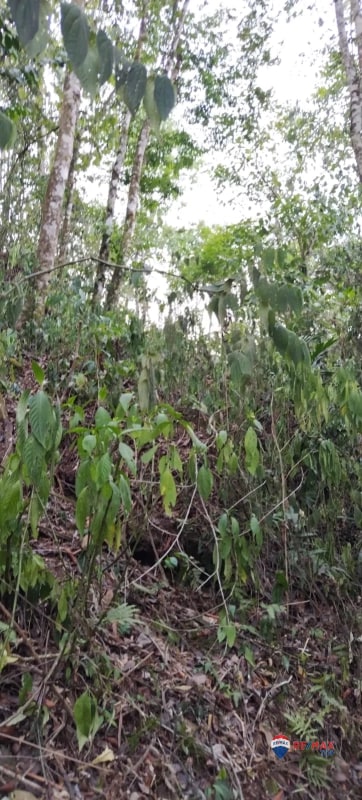TERRENO EN USPANTAN, QUICHÉ TIENE RIÓ EN MEDIO DEL TERRENO - 2