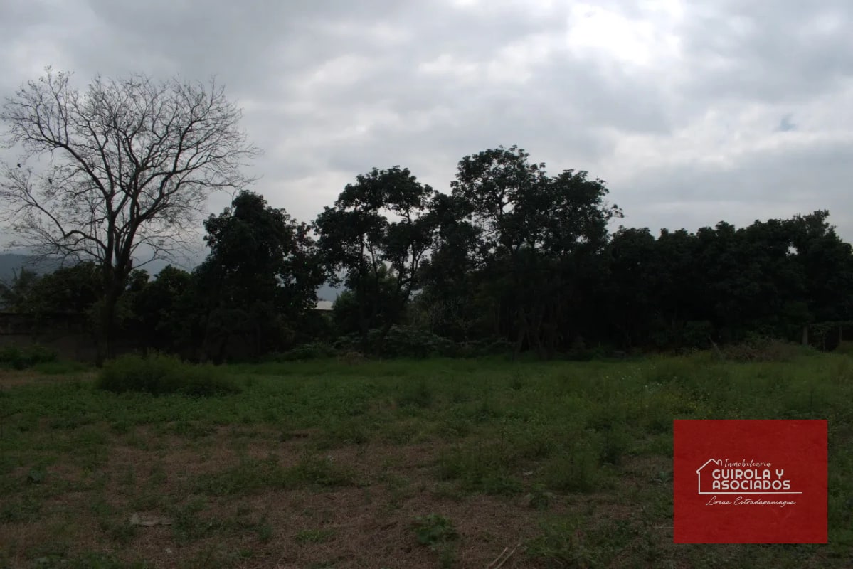 TERRENO EN VENTA EN AMATITLAN 001TVAD - 4