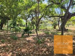 Terreno en venta sobre carretera Antigua a Puerto San José — Terreno en Venta en Escuintla, Escuintla — miniatura 6 de 6
