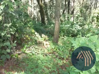 VENTA DE AMPLIO TERRENO - PIEDRA PARADA, SANTA CAT. PINULA — Terreno en Venta en Santa Catarina Pinula, Guatemala, Ciudad — miniatura 1 de 6