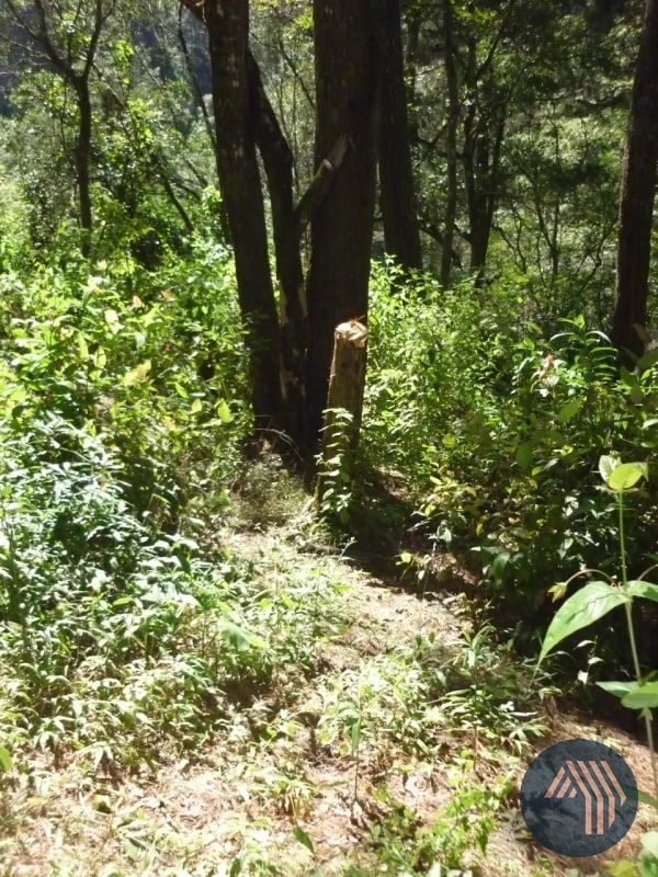 VENTA DE AMPLIO TERRENO - PIEDRA PARADA, SANTA CAT. PINULA - 5