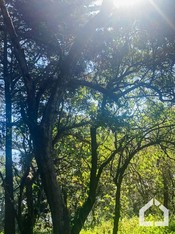 Terreno plano en venta en Condominio Premier Campestre, CAES — Terreno en Venta en Premier Campestre, Carretera a El Salvador, Guatemala, Ciudad — foto 12 de 13