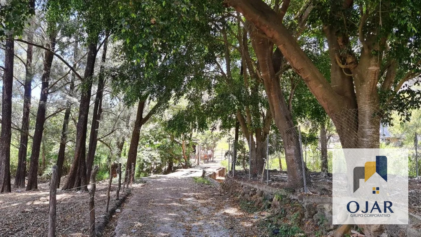 TERRENO EN VENTA EN JALAPA, A 12 MIN DEL CENTRO - 10