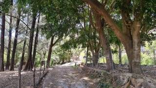 TERRENO EN VENTA EN JALAPA, A 12 MIN DEL CENTRO — Terreno en Venta en Jalapa, Jalapa — miniatura 11 de 15