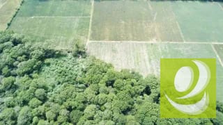 FINCA DE 17 MANZANAS PLANAS EN VENTA EN EL JOCOTILLO — Terreno en Venta en planes de barcenas, Carretera a El Salvador, Guatemala, Ciudad — miniatura 4 de 5