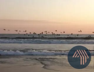 VENTA DE LINDA CASA FRENTE AL MAR - EL AHUMADO — Casa vacacional en Venta en Chiquimulilla, Santa Rosa — miniatura 3 de 9