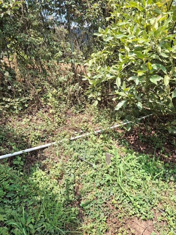 𝐄𝐍 𝐕𝐄𝐍𝐓𝐀 𝐆𝐑𝐀𝐍𝐉𝐀 𝐃𝐄 𝐀𝐆𝐔𝐀𝐂𝐀𝐓𝐄 𝐇𝐀𝐒𝐒 — Terreno en Venta en Santiago Sacatepéquez, Sacatepéquez — foto 3 de 9