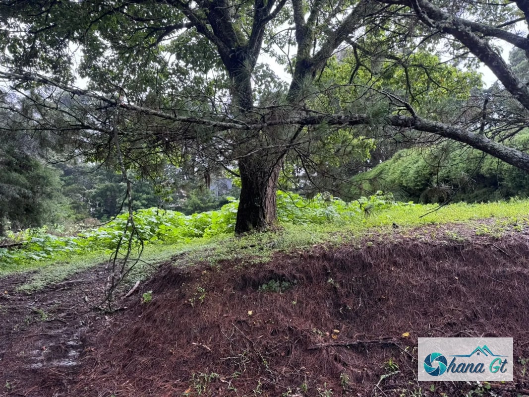 TERRENO EN VENTA KM 16.5 CAES COND. SAN FRANCISCO JAVIER - 1