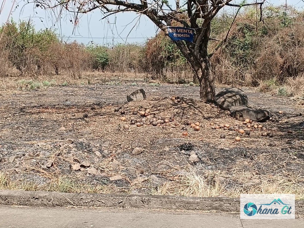 TERRENO EN VENTA KM 77 VIA A PUERTO QUETZAL QUINTAS LA PONDEROSA - 4