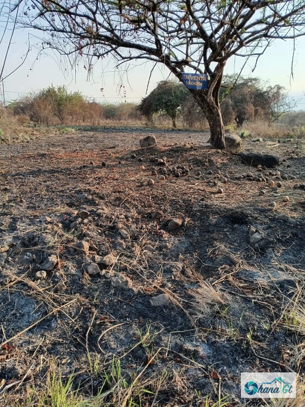 TERRENO EN VENTA KM 77 VIA A PUERTO QUETZAL QUINTAS LA PONDEROSA - 1