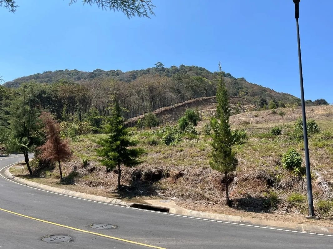 Hermoso terreno en venta en El Pulté Golf — Terreno en Venta en El Pulté Golf, Zona 16, Guatemala, Ciudad — foto 4 de 4