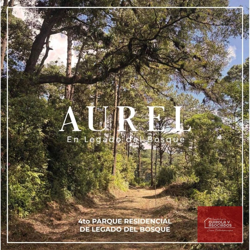 TERRENO EN VENTA EN LEGADO DEL BOSQUE 005TVLD - 13