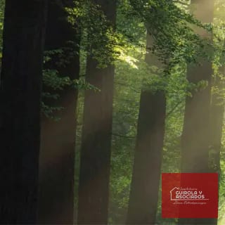 Terreno en Venta en Legado del Bosque 005TVLD — Terreno en Venta en Zona 16, Guatemala, Ciudad — miniatura 5 de 11