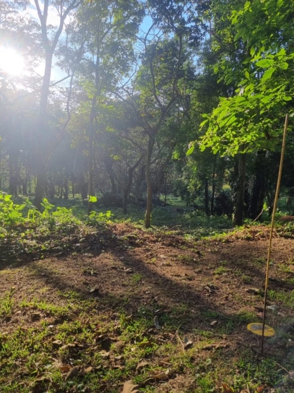 Terreno en venta en Premier Campestre km 23 carretera a El Salvador — Terreno en Venta en Carretera a El Salvador, Guatemala, Ciudad — foto 6 de 7
