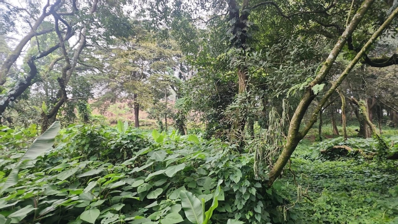 Terreno en venta en Premier Campestre km 23 carretera a El Salvador — Terreno en Venta en Carretera a El Salvador, Guatemala, Ciudad — foto 4 de 7