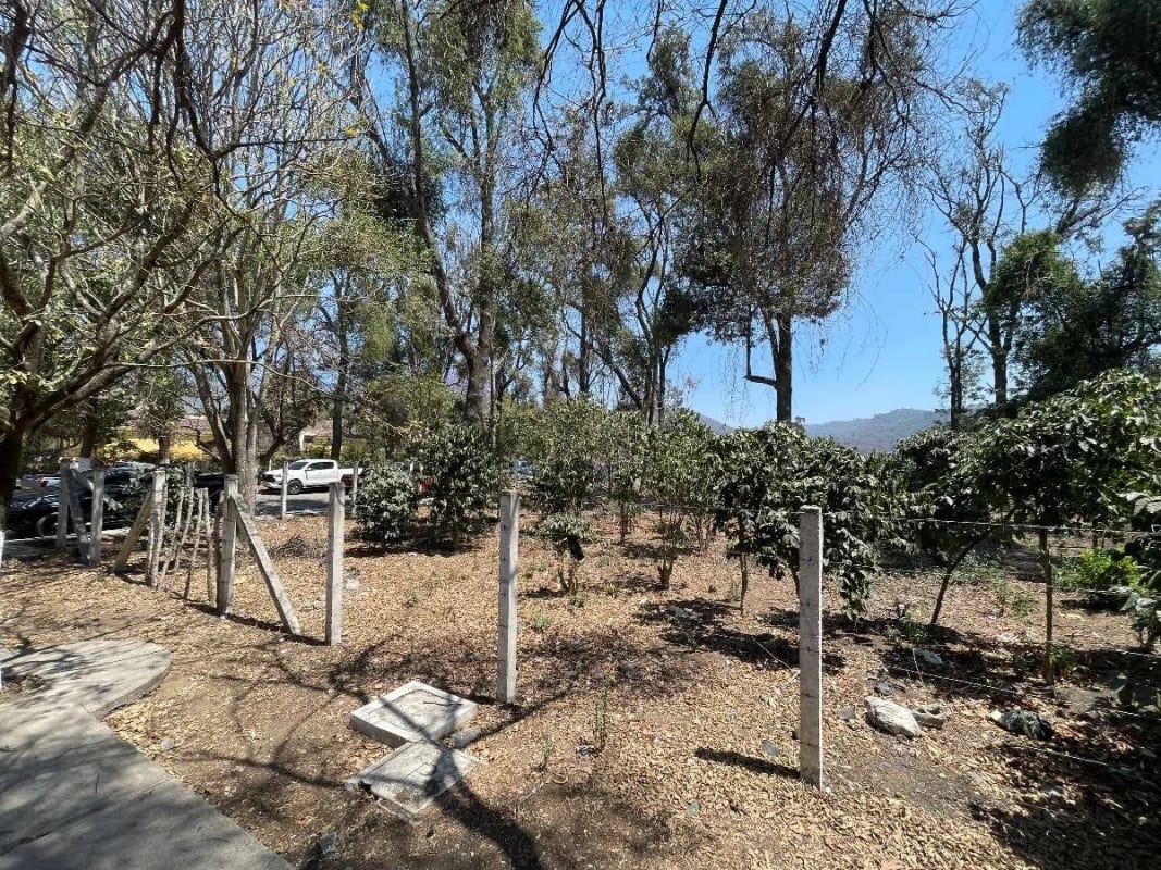 TERRENO ANTIGUA GUATEMALA WALKING DISTANCE AL CASCO IDEAL DESARROLLO DE PLAZA COMERCIAL , CERCA DE LAS RUINAS DE LA RECOLECCIÓN Y CERCA  DEL casco de Antigua Guatemala 2217v2 — Terreno en Venta en Antigua, Sacatepéquez — foto 2 de 3
