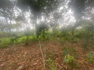 Terreno en El Tejar, Chimaltenango — Terreno en Venta en El Tejar, Chimaltenango — miniatura 3 de 4