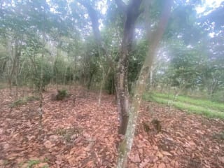 Terreno en El Tejar, Chimaltenango — Terreno en Venta en El Tejar, Chimaltenango — miniatura 2 de 4