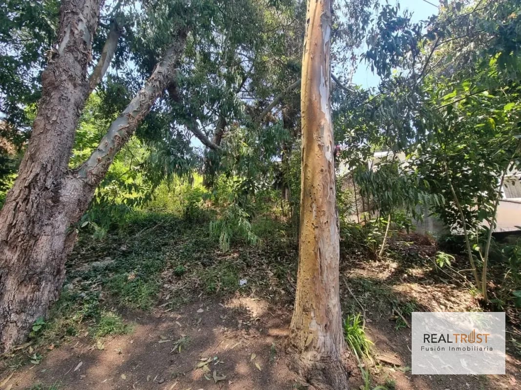 TERRENO EN VENTA SANTA ROSALÍA KM 12.5 CAES — Terreno en Venta en Carretera a El Salvador, Guatemala, Ciudad — foto 1 de 11