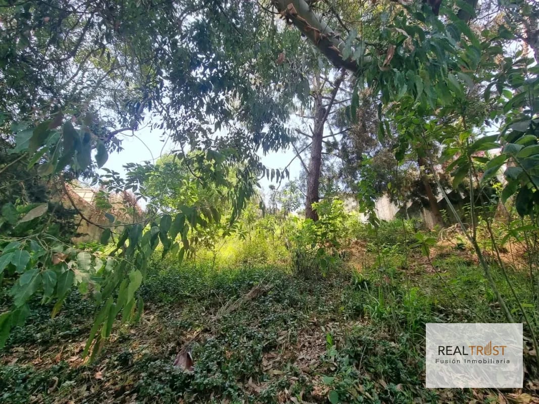 TERRENO EN VENTA SANTA ROSALÍA KM 12.5 CAES — Terreno en Venta en Carretera a El Salvador, Guatemala, Ciudad — foto 11 de 11