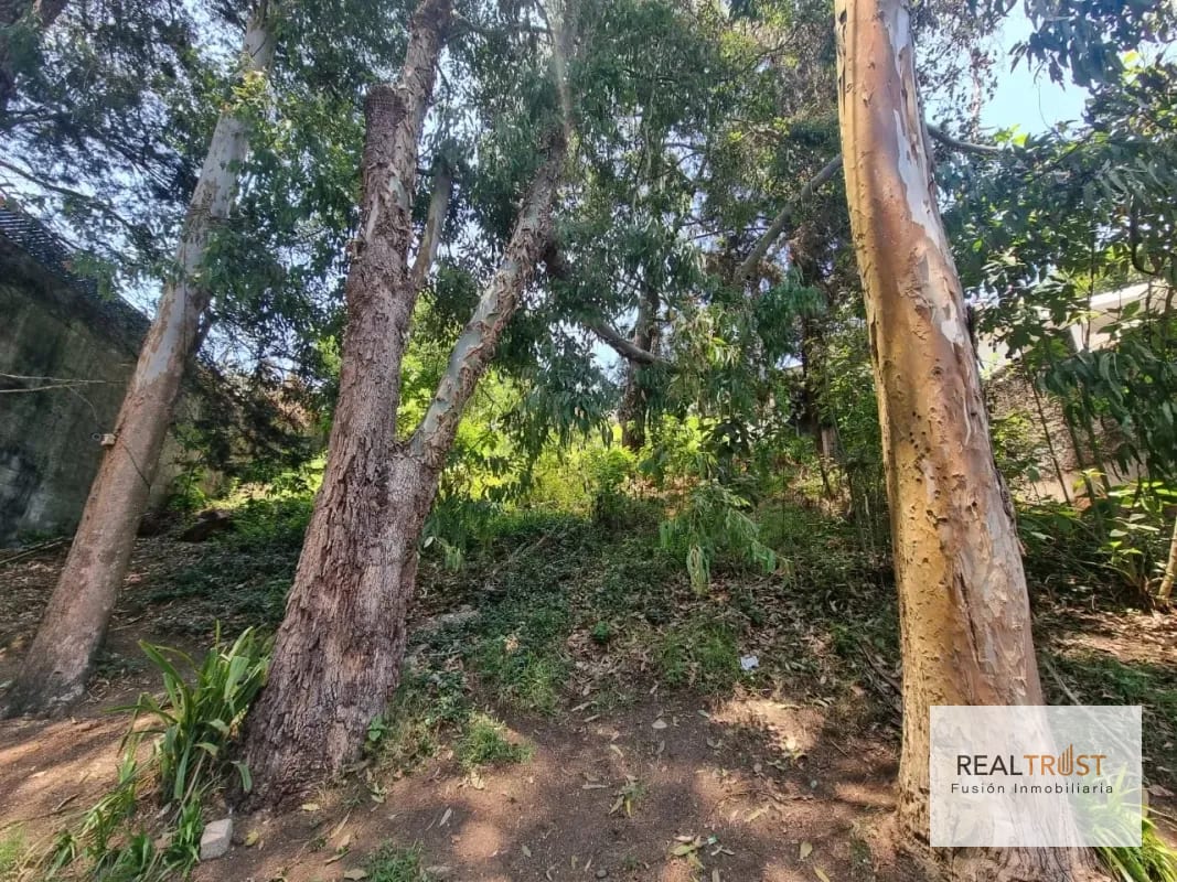 TERRENO EN VENTA SANTA ROSALÍA KM 12.5 CAES — Terreno en Venta en Carretera a El Salvador, Guatemala, Ciudad — foto 10 de 11