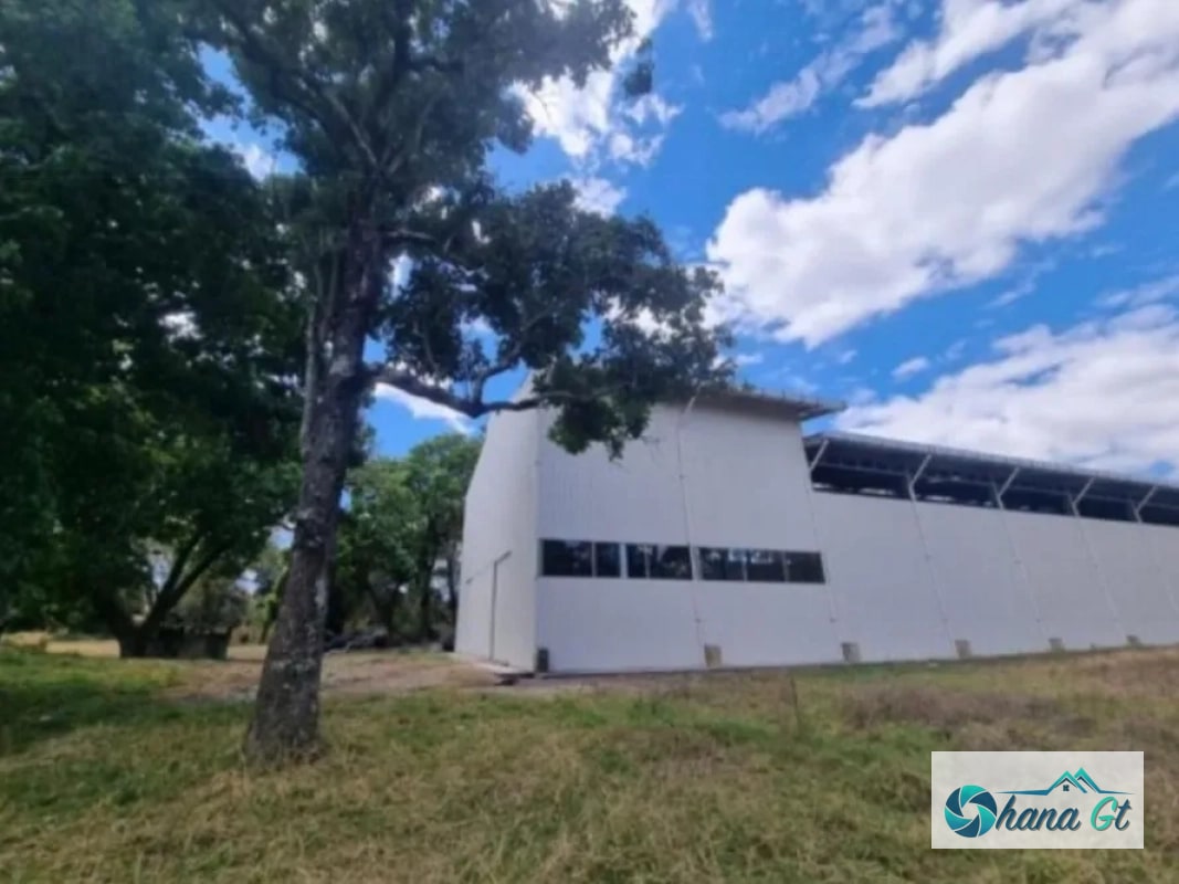 TERRENO BODEGA EN VENTA, SAN MIGUEL PETAPA - 5