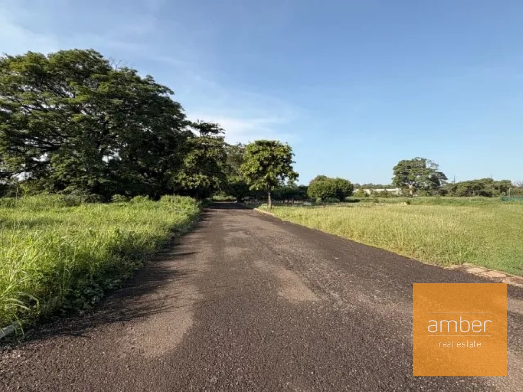 Terreno en Escuintla - 5