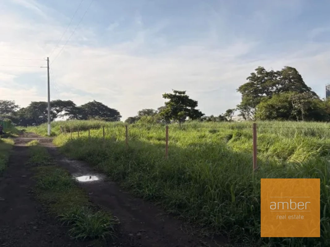 Terreno en Escuintla - 4