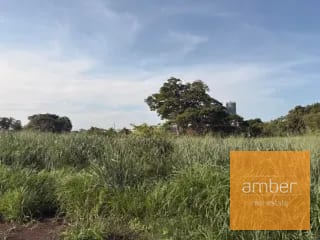 Terreno en Escuintla — Terreno en Venta en Escuintla, Escuintla — miniatura 11 de 11