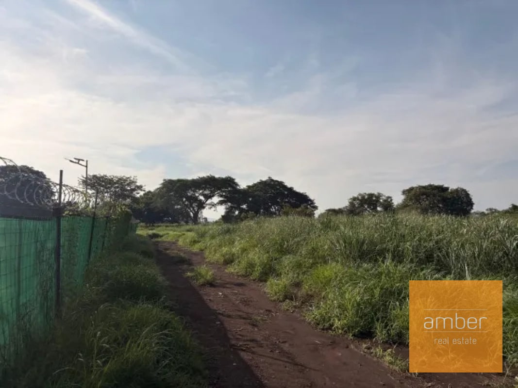 Terreno en Escuintla - 3