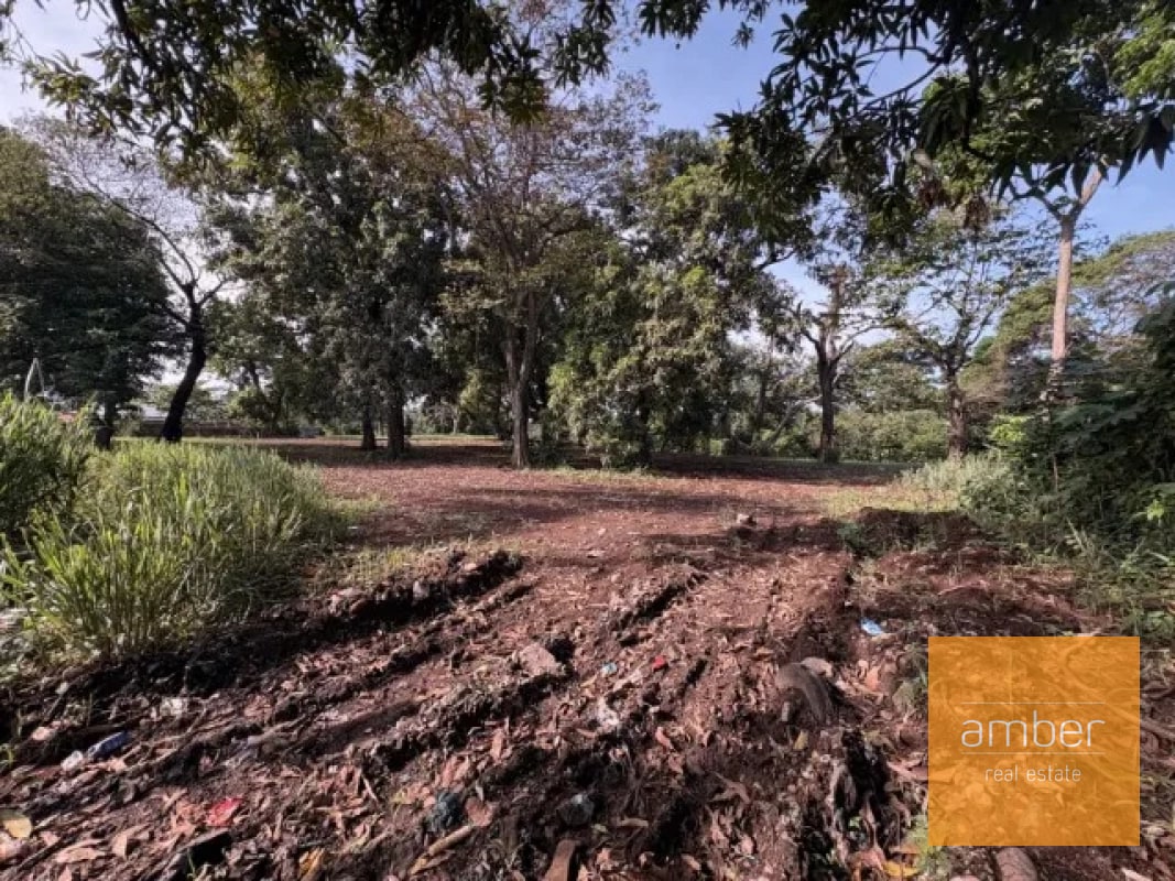 Terreno carretera a El Salto, Escuintla - 9