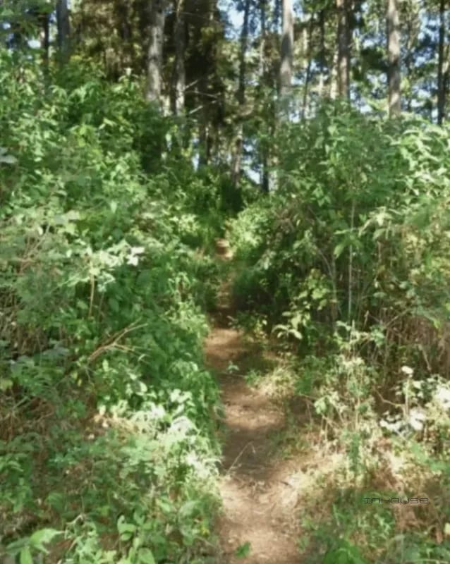 TERRENO DE 7 MANZANAS EN VENTA PIEDRA PARADA, SANTA CATARINA PINULA — Terreno en Venta en Santa Catarina Pinula, Guatemala, Ciudad — foto 7 de 10