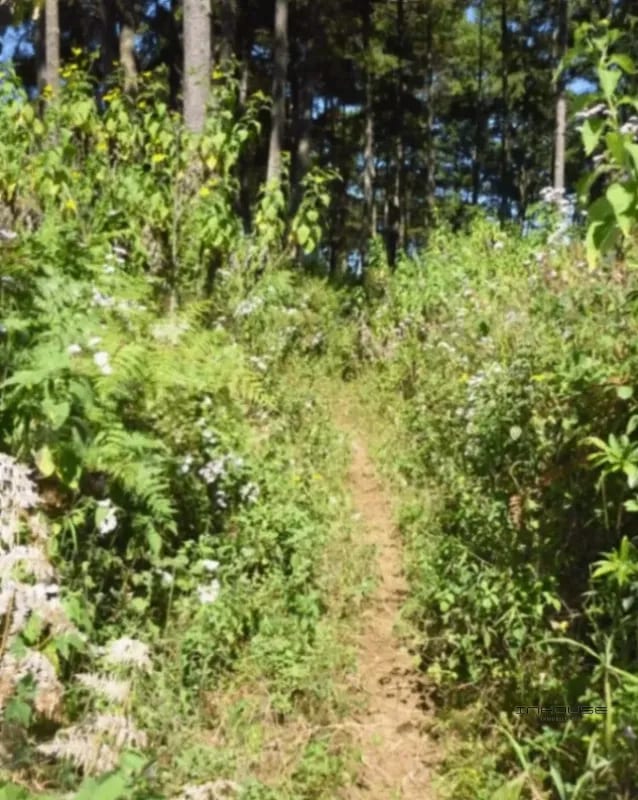 TERRENO DE 7 MANZANAS EN VENTA PIEDRA PARADA, SANTA CATARINA PINULA — Terreno en Venta en Santa Catarina Pinula, Guatemala, Ciudad — foto 5 de 10