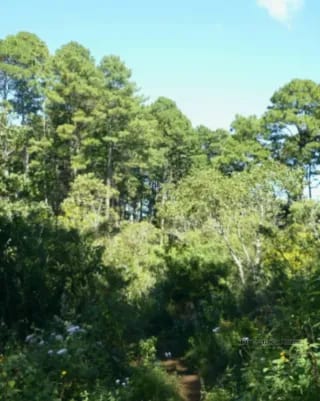 TERRENO DE 7 MANZANAS EN VENTA PIEDRA PARADA, SANTA CATARINA PINULA — Terreno en Venta en Santa Catarina Pinula, Guatemala, Ciudad — miniatura 1 de 10