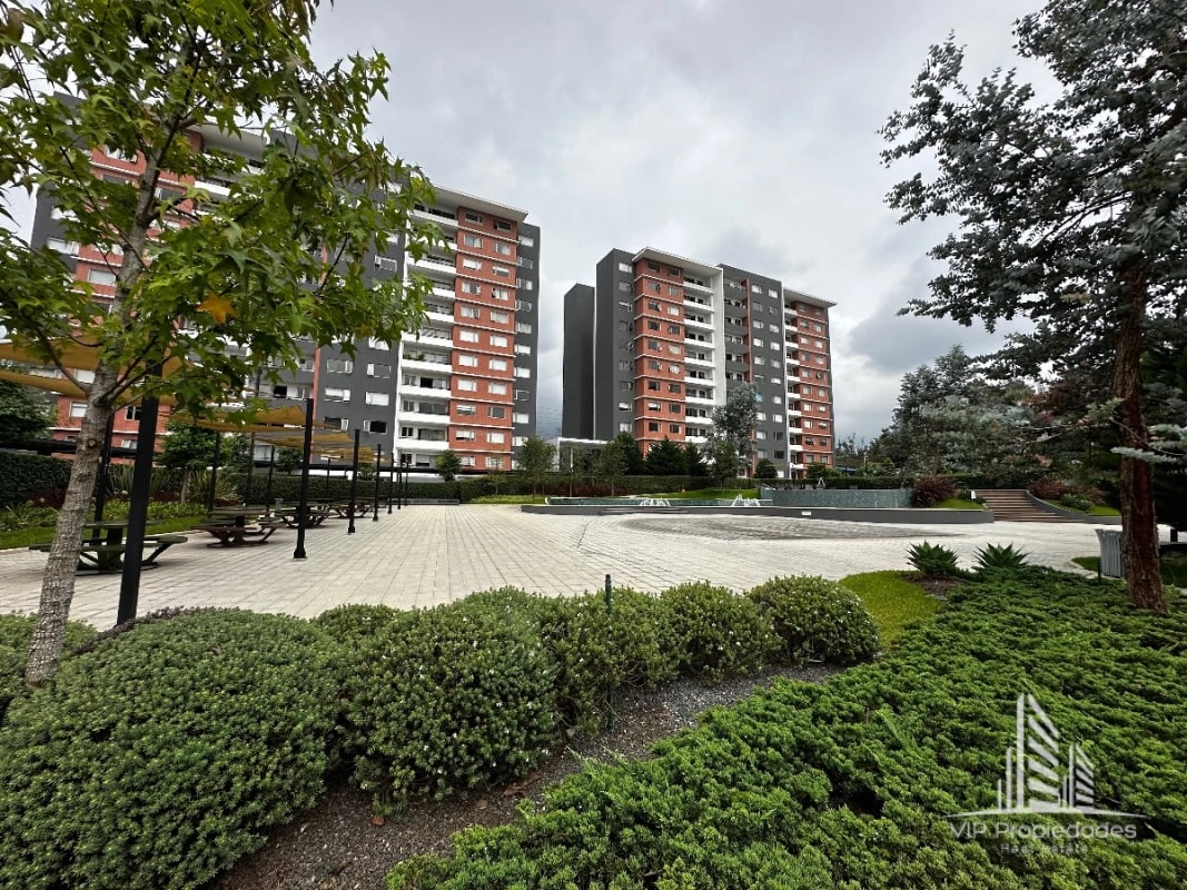 Segheria zona 14, apartamento en alquiler - 10