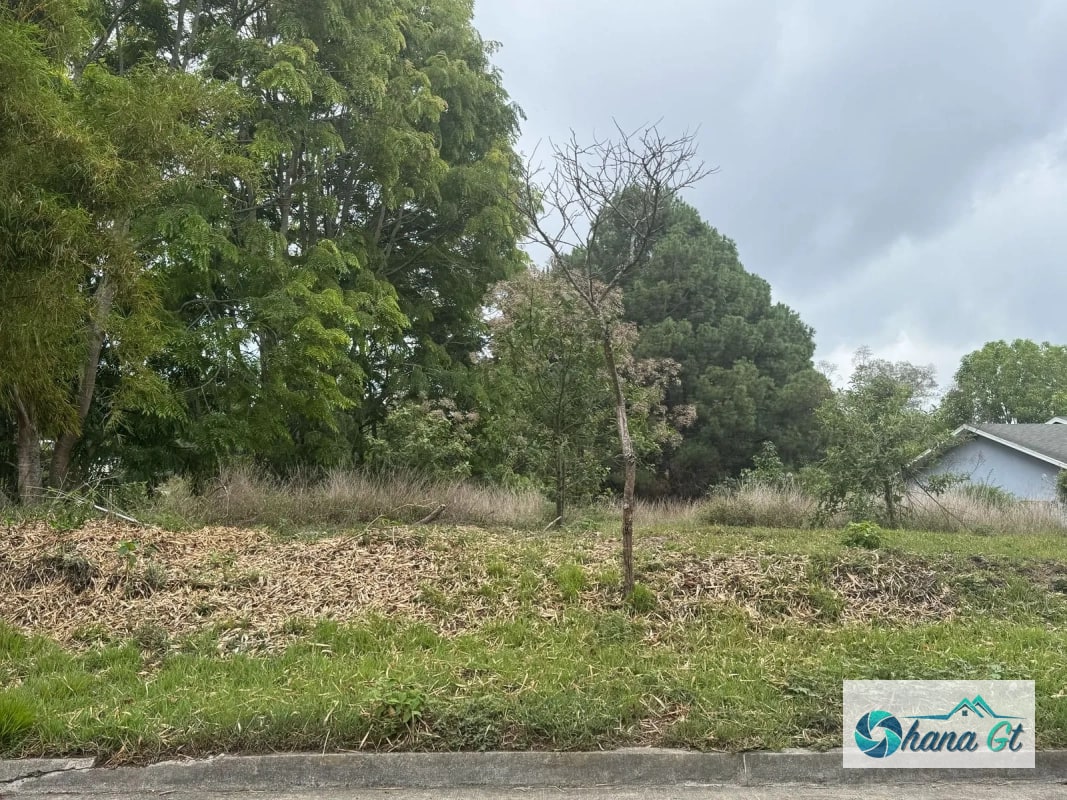 TERRENO EN VENTA, KM 16.5 CAES COND. SAN FRANCISCO JAVIER - 2