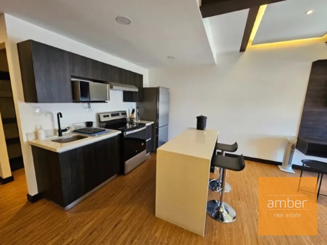 Apartamentos Amueblados Edificio Canamco, Zona 10 - 6