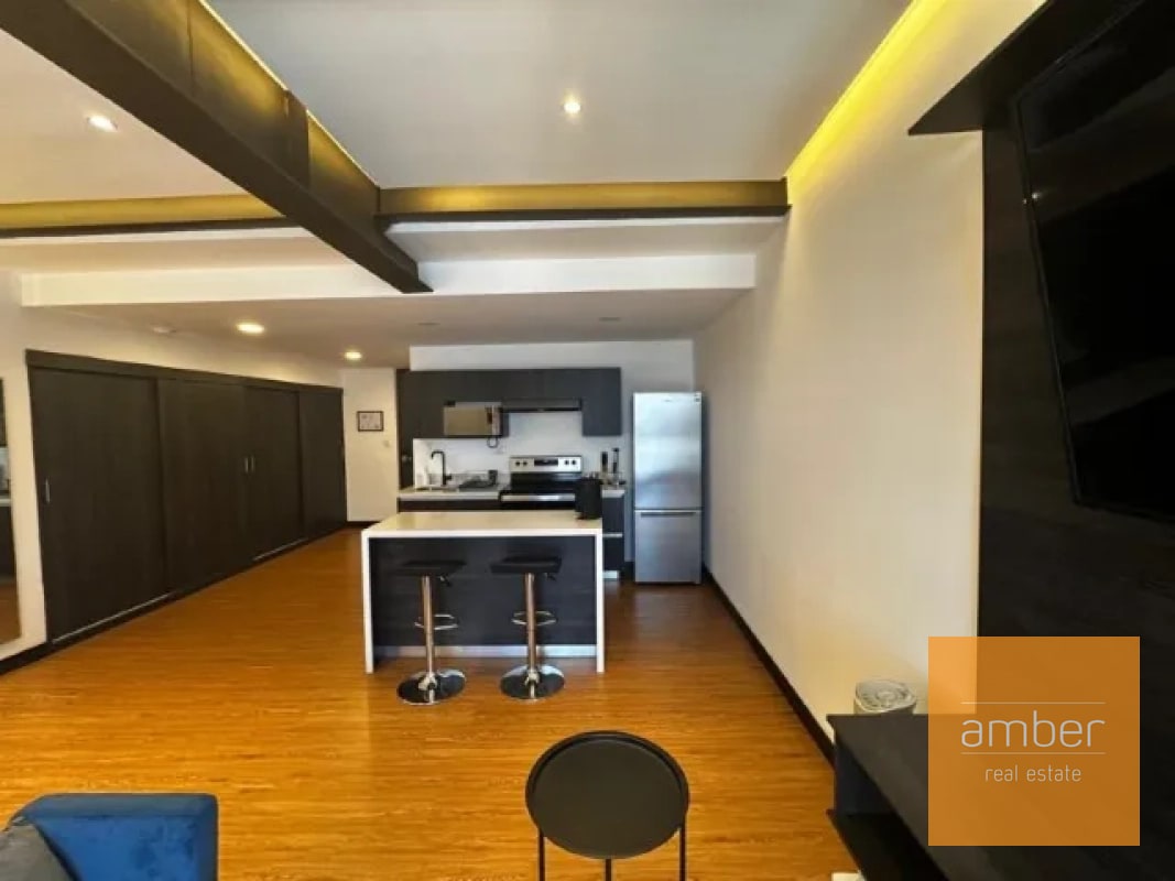 Apartamentos Amueblados Edificio Canamco, Zona 10 - 3