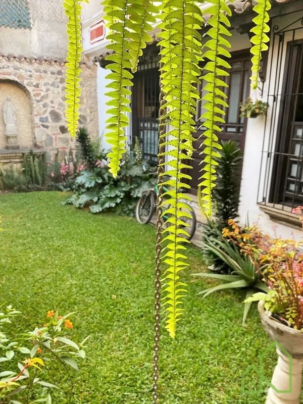 Propiedad en Venta en San Pedro El Panorama, Antigua Guatemala - 7