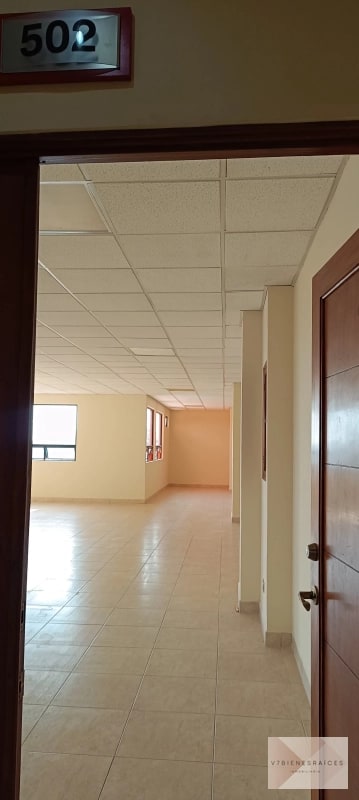AMPLIAS OFICINAS EN RENTA - 1